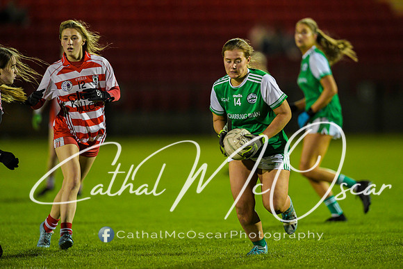 Ballerin v Craigbane (100 of 201)
