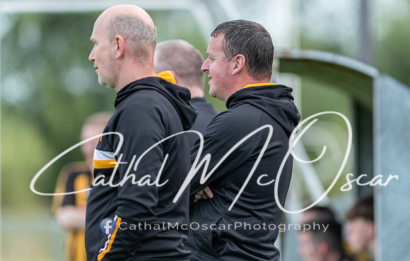 Ogra Colmcille v Ardmore (29 of 144)