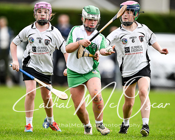 Castledawson v Loup (72 of 101)