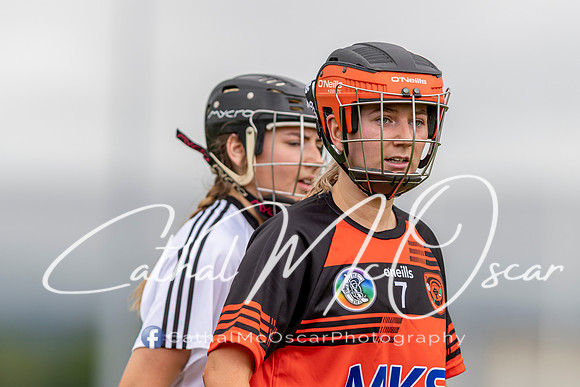 Castledawson v Lavey II (36 of 130)