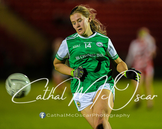 Ballerin v Craigbane (106 of 201)