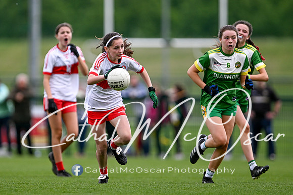 Derry v Offaly (81 of 260)