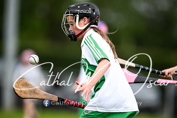 Castledawson v Loup (82 of 101)