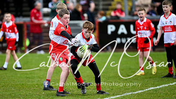 Derry v Mayo115