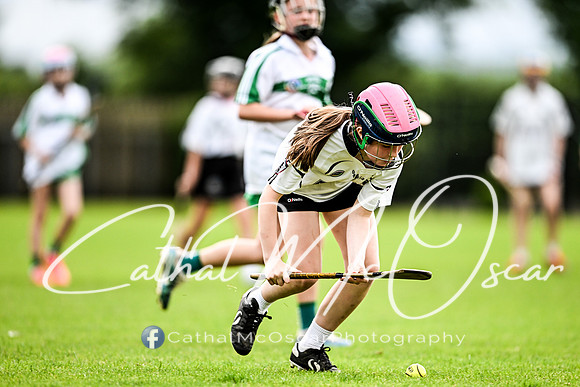 Castledawson v Loup (68 of 101)
