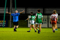 Ballerin v Craigbane (13 of 201)