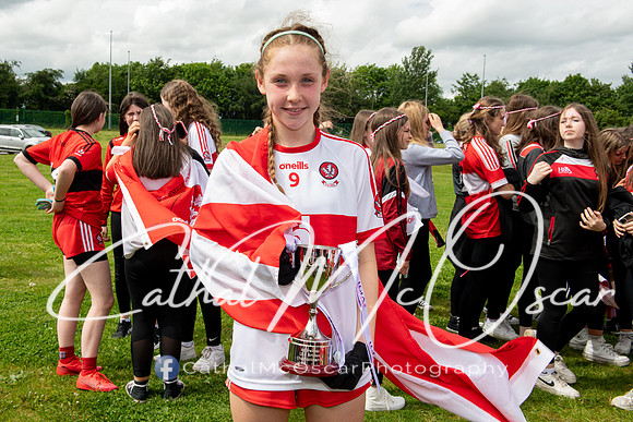 Derry v Offaly (244 of 260)