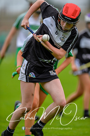 Loup v Dungiven (99 of 183)