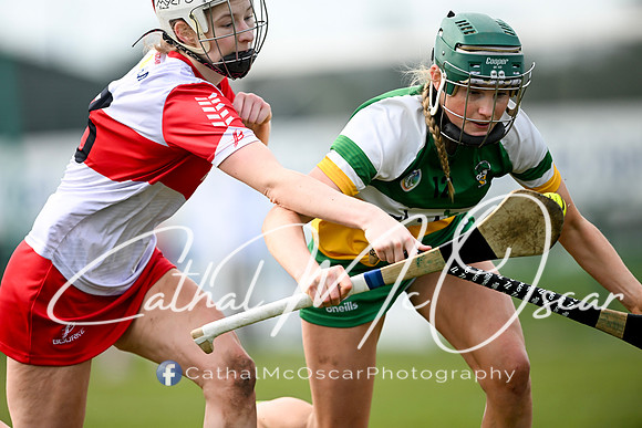 Derry v Offaly (31 of 142)