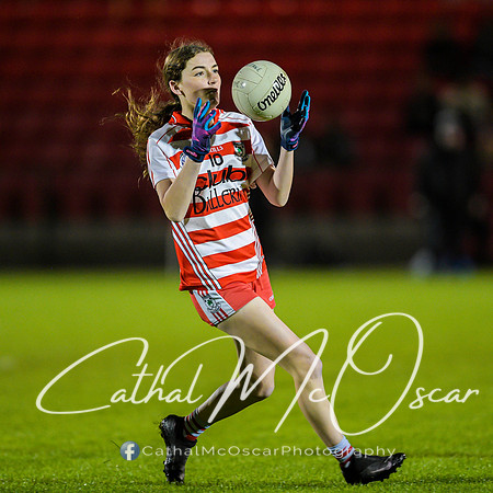Ballerin v Craigbane (23 of 201)