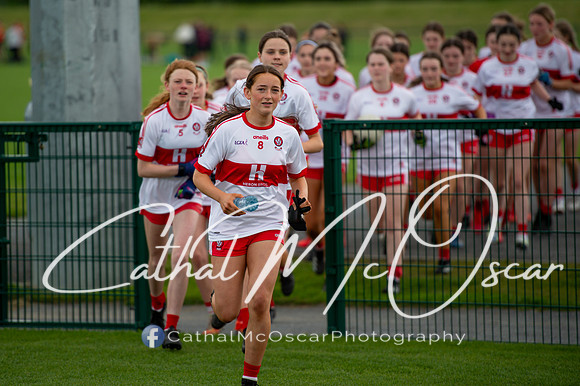 Derry v Offaly (71 of 260)