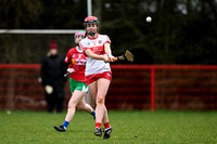 Derry Minors v Tyrone Seniors (8 of 143)