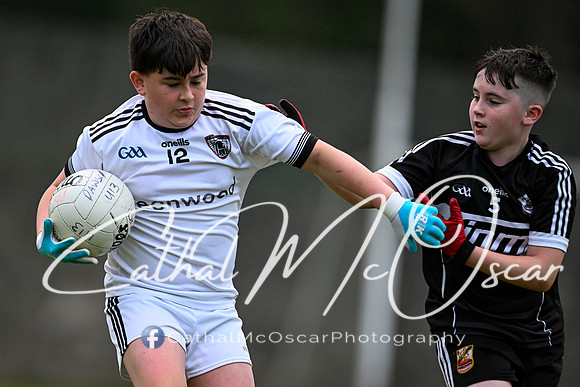 Castledawson v Dungiven (7 of 85)