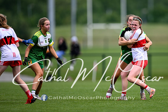 Derry v Offaly (49 of 260)