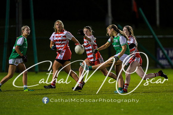 Ballerin v Craigbane (93 of 201)