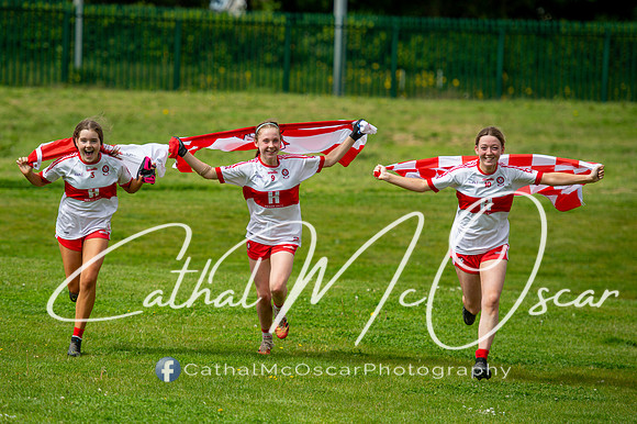 Derry v Offaly (227 of 260)