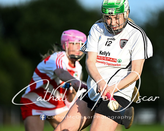 Castledawson v Ballerin-1