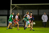Ballerin v Craigbane (20 of 201)
