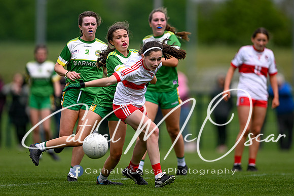 Derry v Offaly (109 of 260)