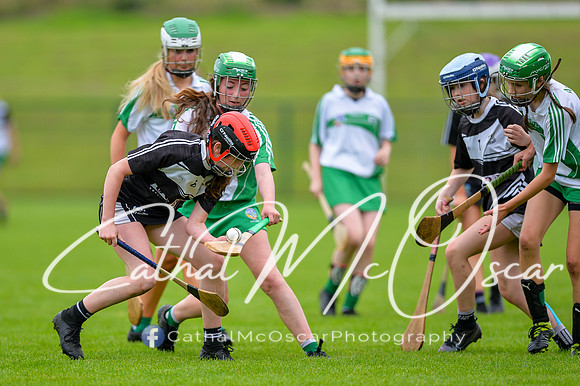 Loup v Dungiven (103 of 183)