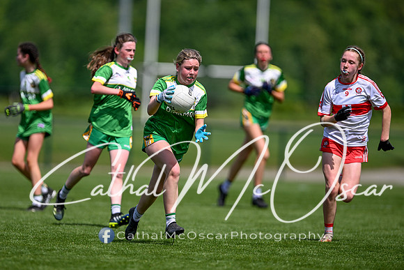 Derry v Offaly (19 of 260)