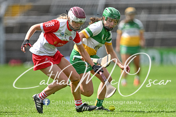 Derry v Offaly (119 of 148)