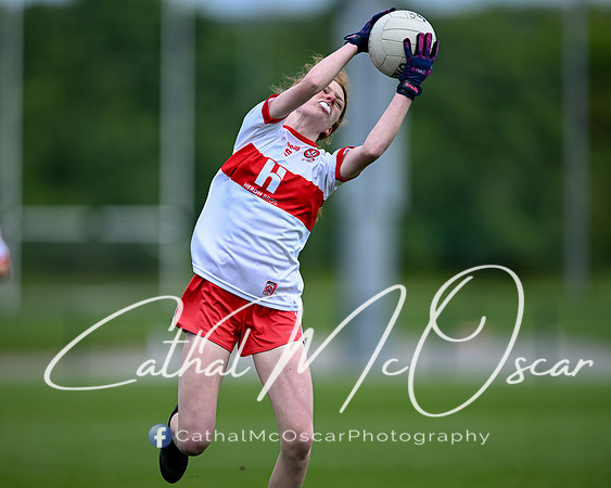 Derry v Offaly (4 of 260)