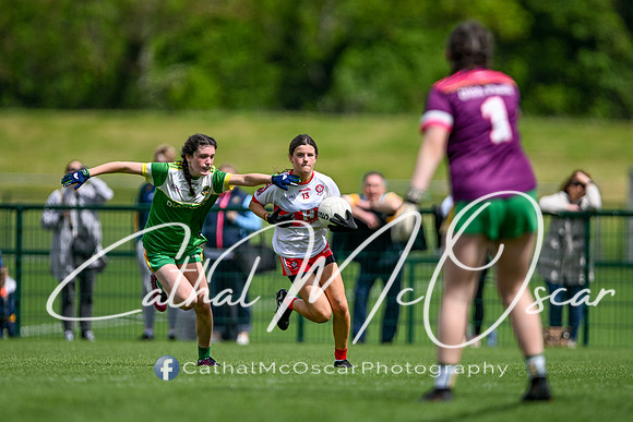 Derry v Offaly (78 of 260)