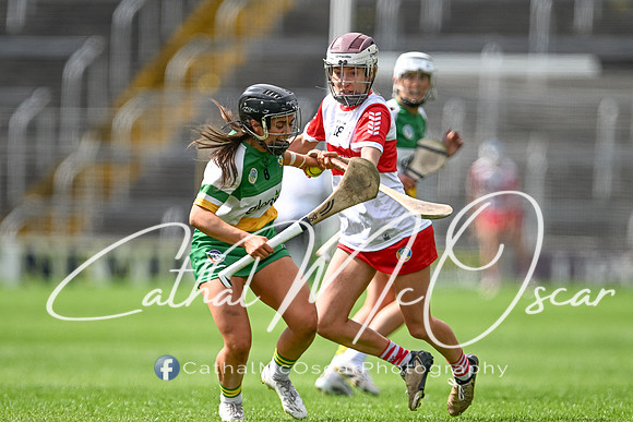 Derry v Offaly (121 of 148)