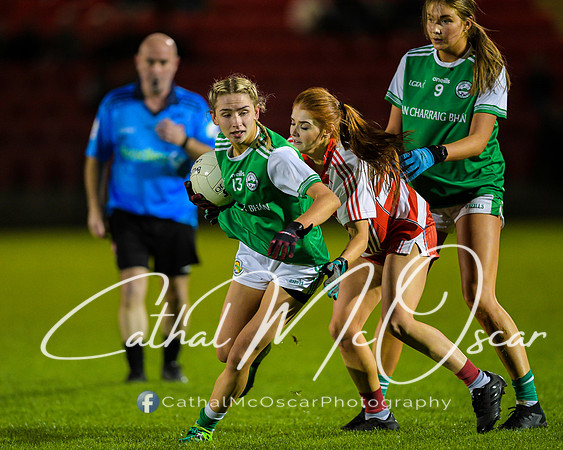 Ballerin v Craigbane (86 of 201)