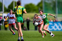 Derry v Offaly (10 of 260)