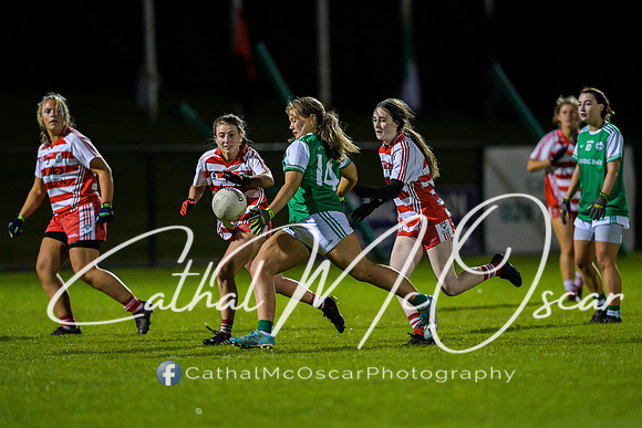 Ballerin v Craigbane (92 of 201)