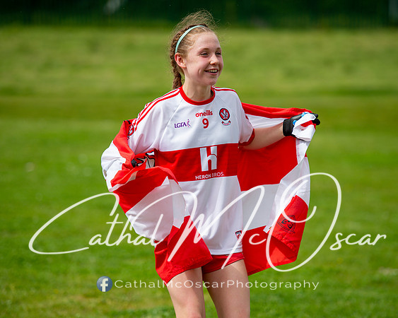 Derry v Offaly (226 of 260)