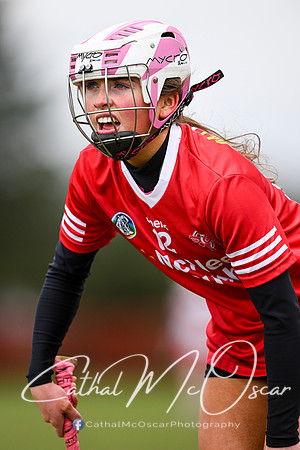 Derry Minors v Tyrone Seniors (121 of 143)