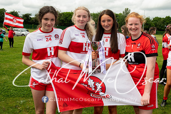 Derry v Offaly (247 of 260)