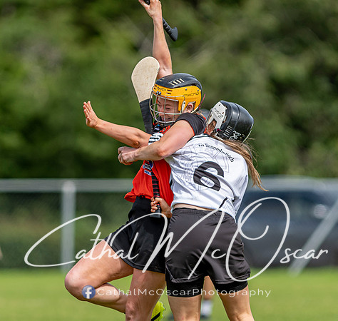 Castledawson v Lavey II (103 of 130)