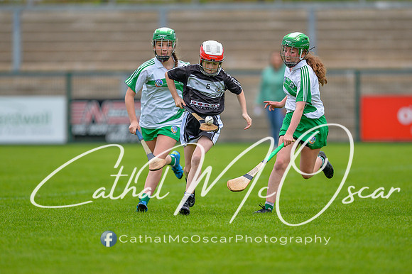 Loup v Dungiven (87 of 183)