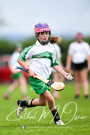 Castledawson v Loup (85 of 101)