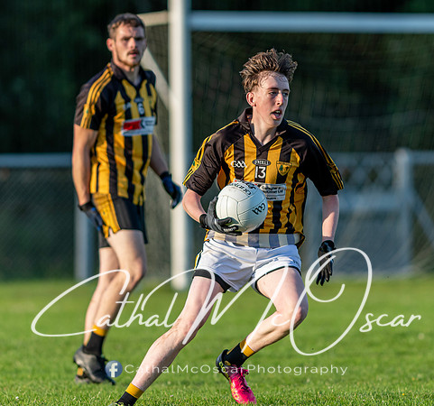 Ogra Colmcille v Ardmore (135 of 144)