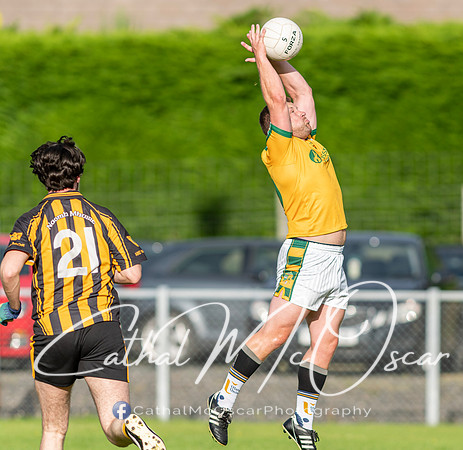Ogra Colmcille v Ardmore (40 of 144)