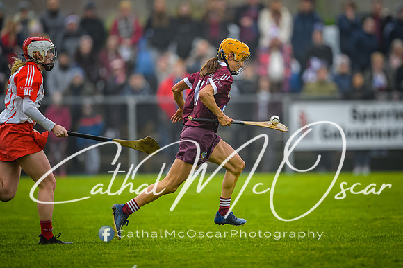 Slaughtneil v loughiel 2021 Ulster Final (50 of 279)