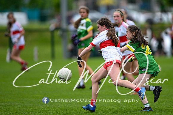 Derry v Offaly (127 of 260)