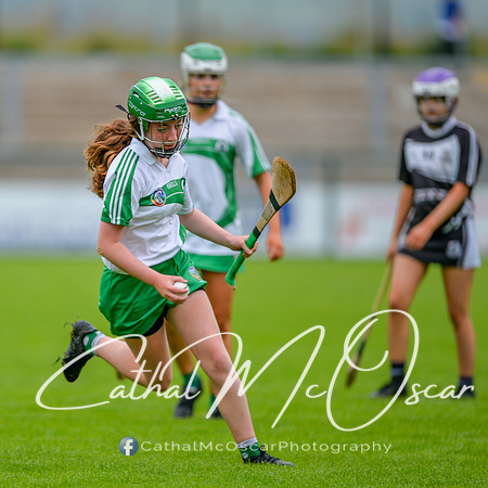 Loup v Dungiven (90 of 183)