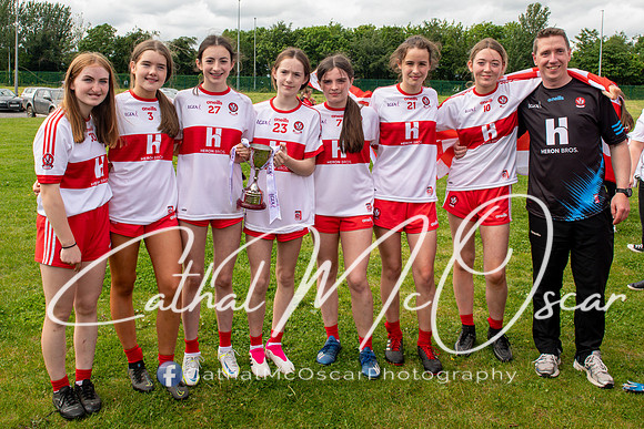 Derry v Offaly (249 of 260)
