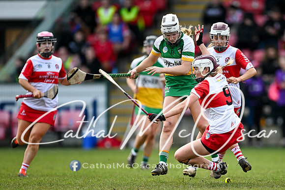 Derry v Offaly (27 of 142)