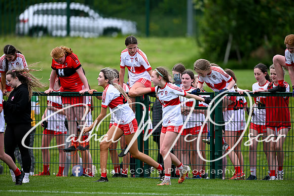 Derry v Offaly (163 of 260)
