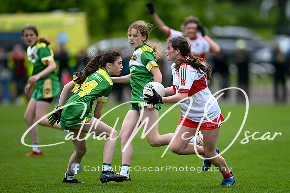 Derry v Offaly (124 of 260)
