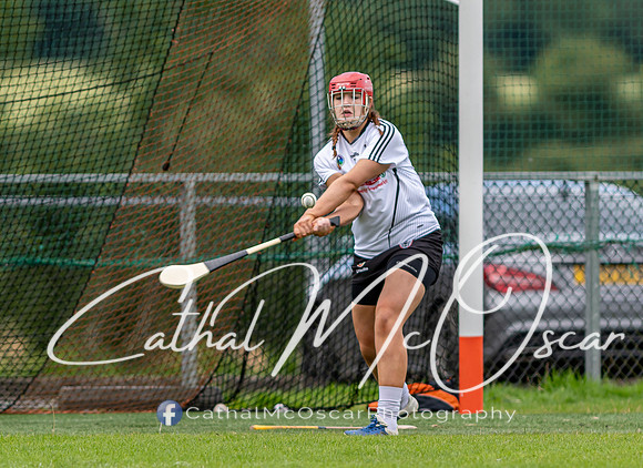 Castledawson v Lavey II (93 of 130)