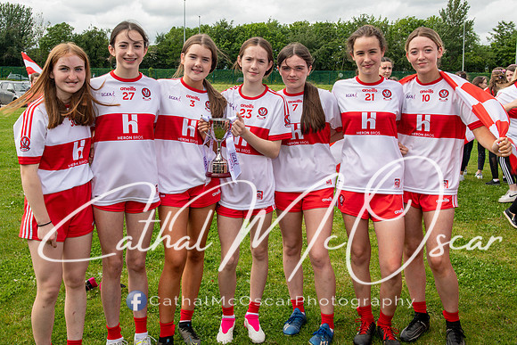 Derry v Offaly (248 of 260)