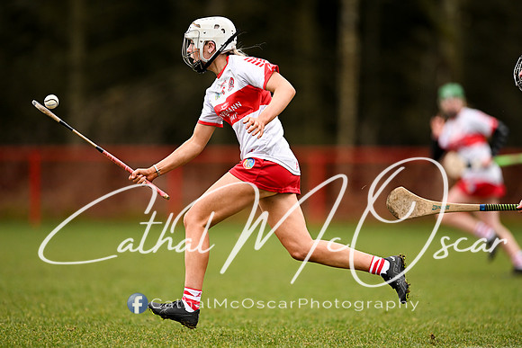 Derry Minors v Tyrone Seniors (143 of 143)